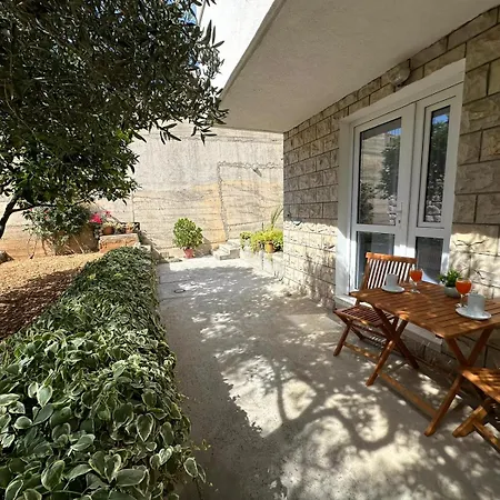 Kovacevic 3*